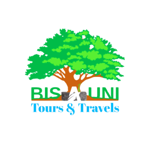 Picture of Bisauni Media